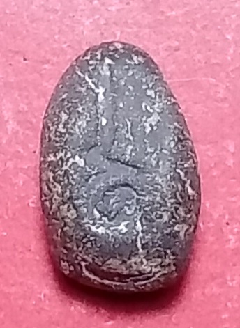 20250428_111422.jpg
